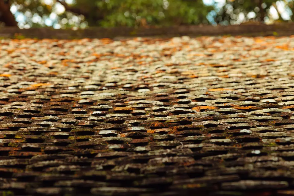 A weathered tile roof covered in lichen and organic growth — the classic soft-wash job